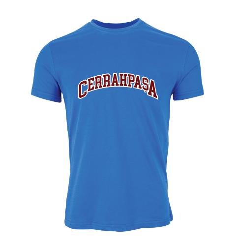 Istanbul Üniversitesi-Cerrahpasa Model 8