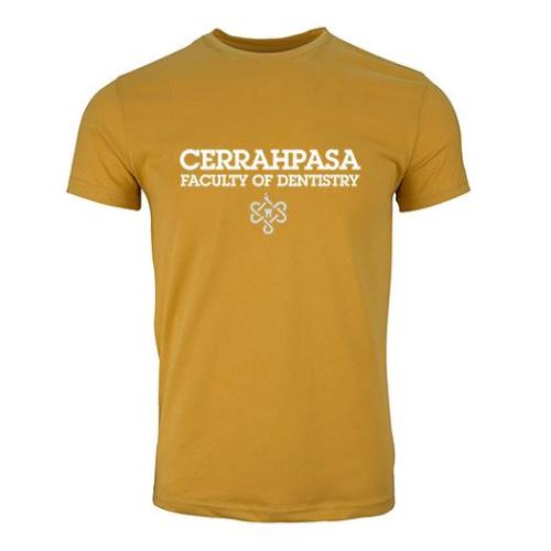 Istanbul Üniversitesi-Cerrahpasa Dis Hekimligi Model 2