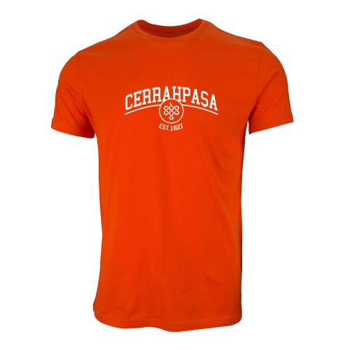 Cerrahpasa Tip Fakültesi Model 10